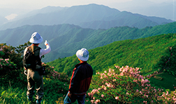 Hanyu Alpine Club